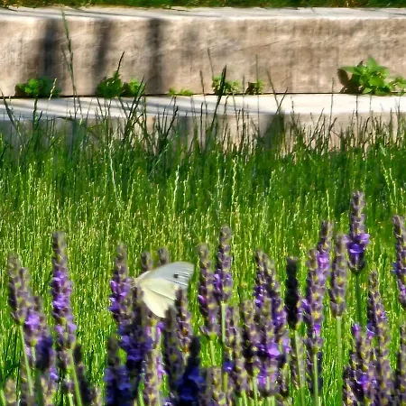 Domaine Ressource 4* Thaire