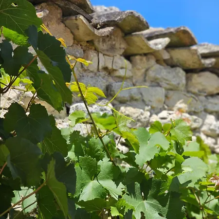 Domaine Ressource 4* Thairé