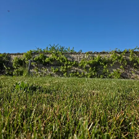 Domaine Ressource בית הארחה